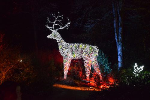 Days Out: Christmas at Dunham Massey, Cheshire