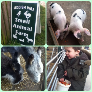 Reddish Vale Farm