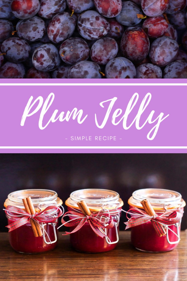 Easy Recipe Plum Jelly preserving summer HodgePodgeDays