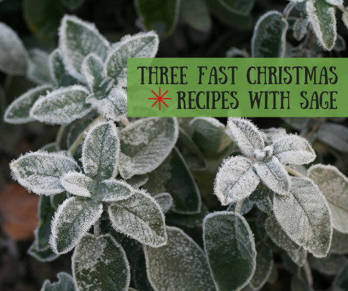 Three fast Christmas recipes with Sage