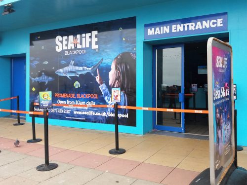 Days Out: Blackpool Sea Life Centre