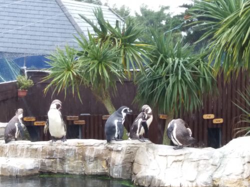 Days Out: Visiting Weymouth Sea Life Adventure Park