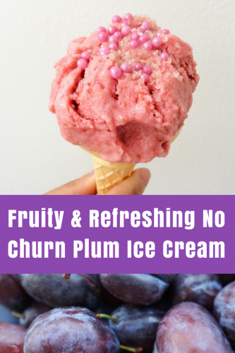 Summer Recipe: No Churn Plum Ice Cream