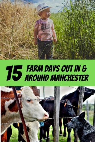 15 Farm days out in and around Manchester