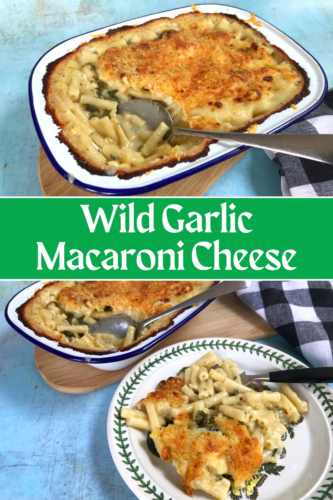 Recipe: Wild Garlic Macaroni Cheese