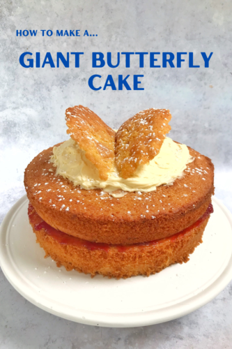 How to make a Giant Butterfly Cake