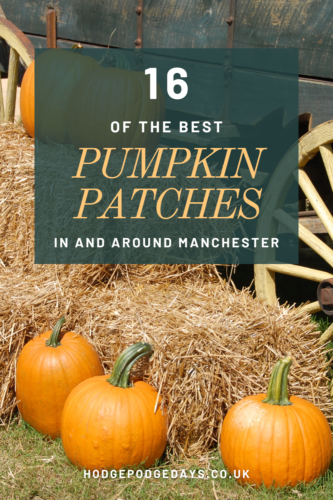 16 Pumpkin Patches in and around Manchester 2022